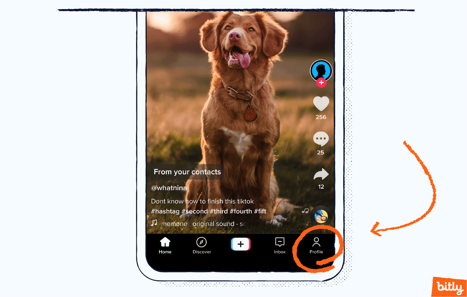 A dog on the home page of a TikTok account with an orange arrow pointing at the profile icon.