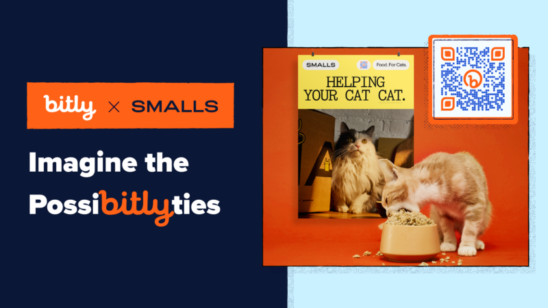 Read article: How Smalls Uses Bitly QR Codes and Short Links to Connect with Cat Care Enthusiasts